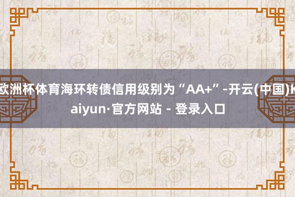 欧洲杯体育海环转债信用级别为“AA+”-开云(中国)Kaiyun·官方网站 - 登录入口