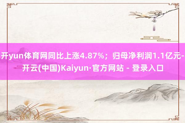 开yun体育网同比上涨4.87%；归母净利润1.1亿元-开云(中国)Kaiyun·官方网站 - 登录入口