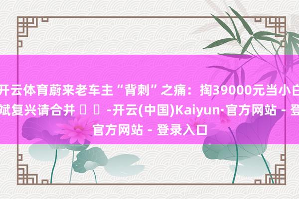 开云体育蔚来老车主“背刺”之痛：掏39000元当小白鼠？李斌复兴请合并 ​​-开云(中国)Kaiyun·官方网站 - 登录入口