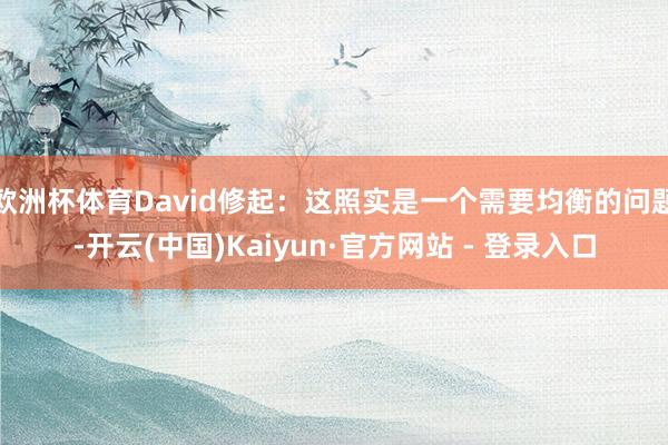 欧洲杯体育David修起：这照实是一个需要均衡的问题-开云(中国)Kaiyun·官方网站 - 登录入口