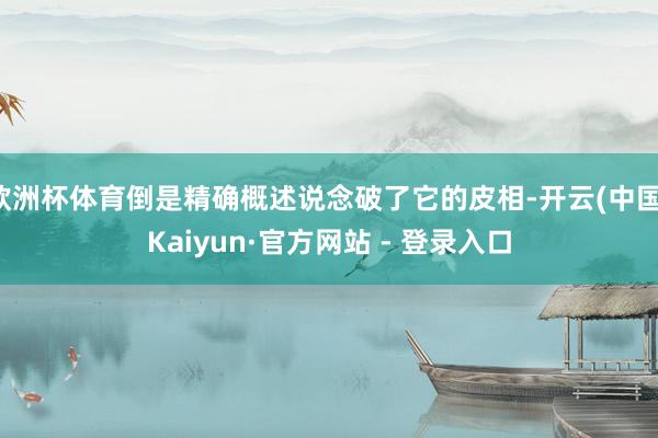 欧洲杯体育倒是精确概述说念破了它的皮相-开云(中国)Kaiyun·官方网站 - 登录入口