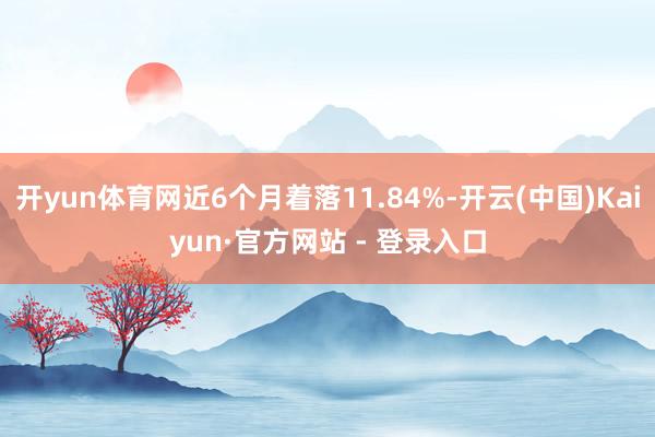 开yun体育网近6个月着落11.84%-开云(中国)Kaiyun·官方网站 - 登录入口