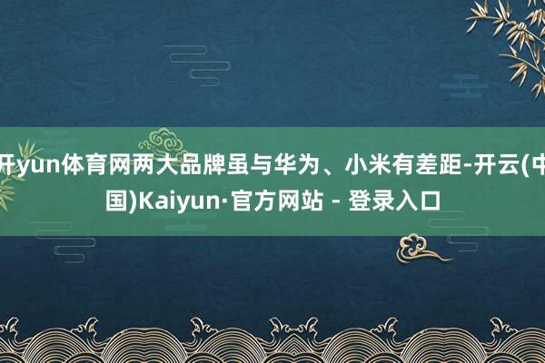 开yun体育网两大品牌虽与华为、小米有差距-开云(中国)Kaiyun·官方网站 - 登录入口