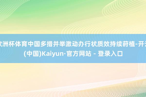 欧洲杯体育中国多措并举激动办行状质效持续莳植-开云(中国)Kaiyun·官方网站 - 登录入口